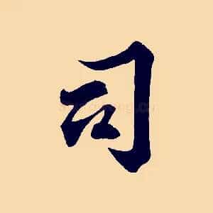 司