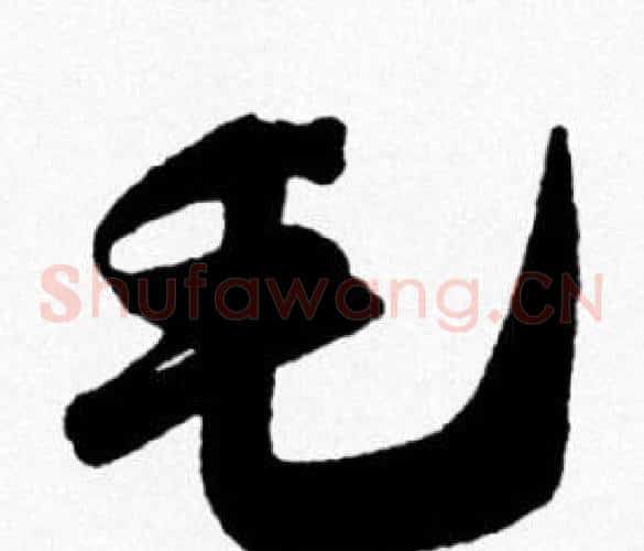 毛