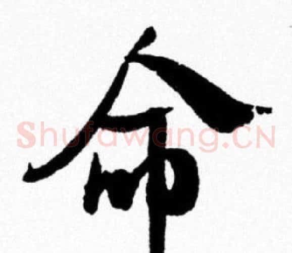 命