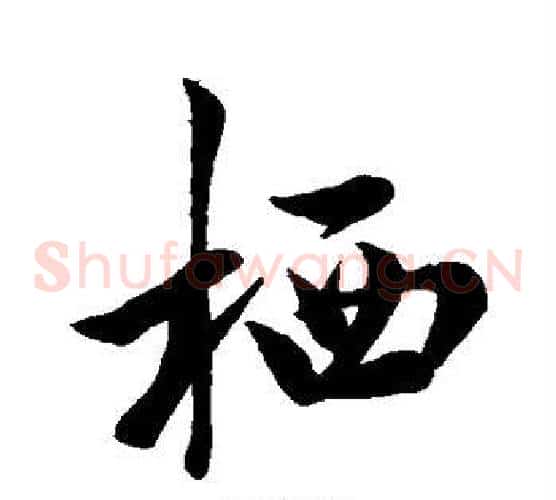 栖