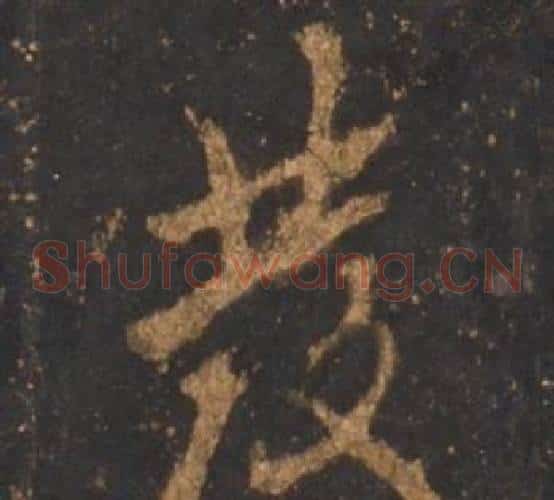 髪