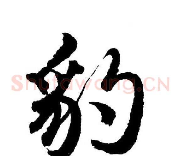 豹