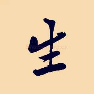 生