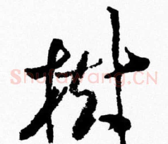 樹