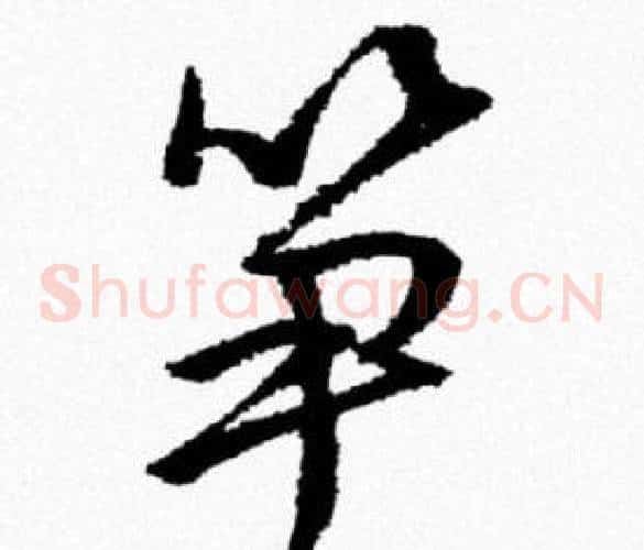 笋