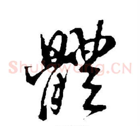 体