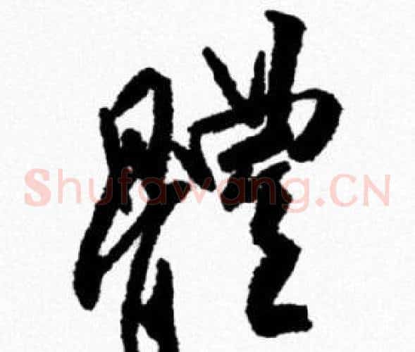 體