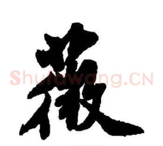 薇
