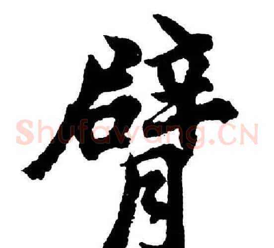 臂