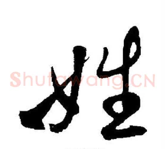 姓