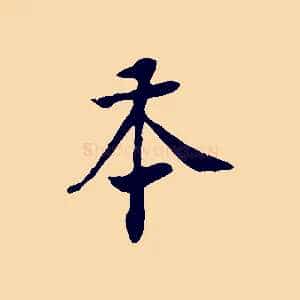 本