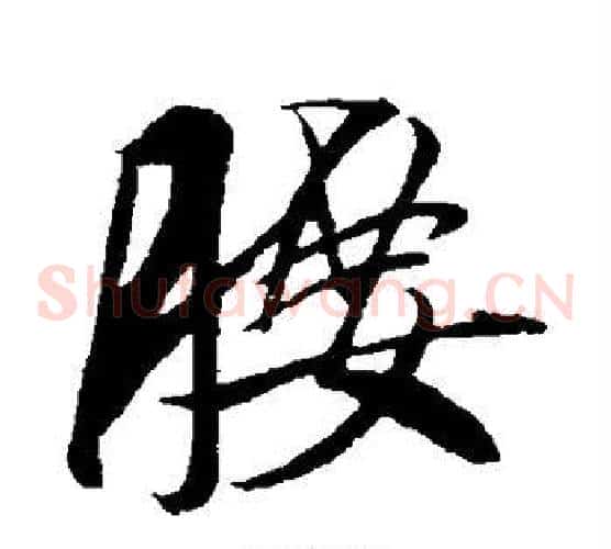 腰
