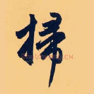 掃