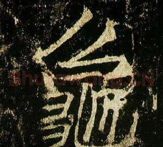 龜