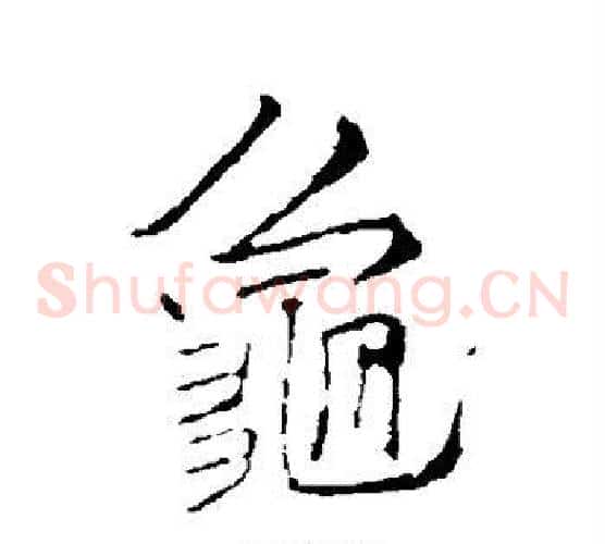 龟