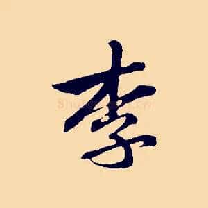李