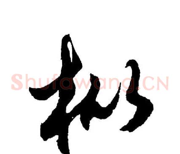 枞
