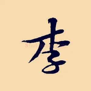 李