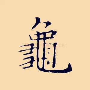 龜