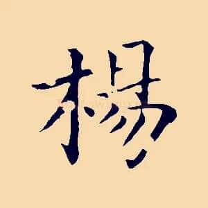 楊