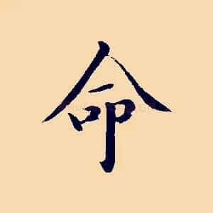 命