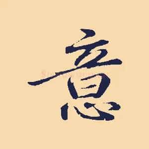 意