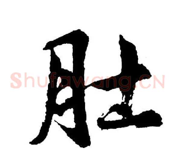 肚
