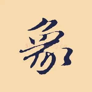 象