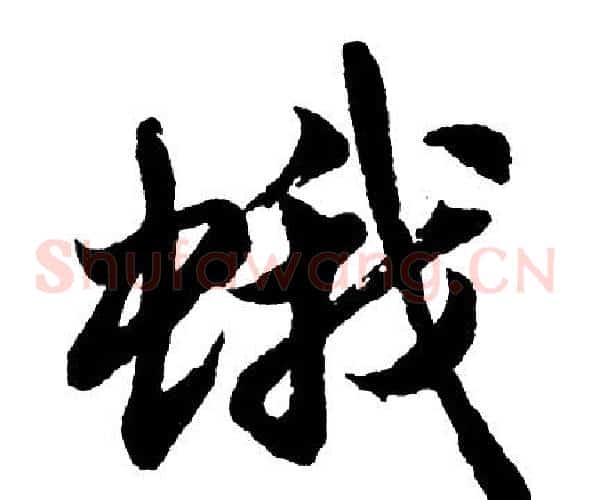 蛾