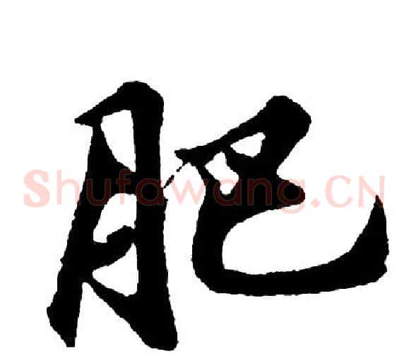 肥