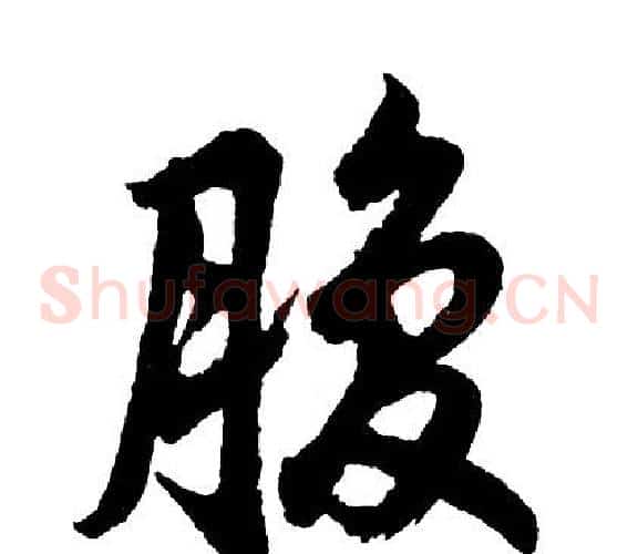 腹