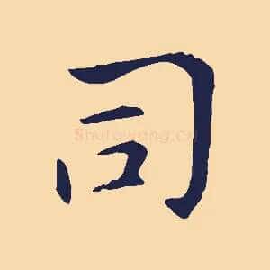 司