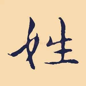 姓