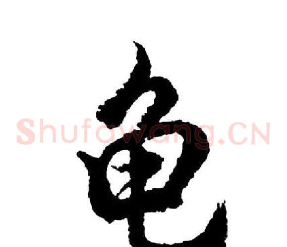 龟