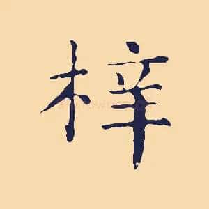 梓