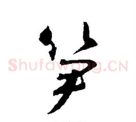 笋