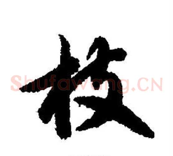 枝