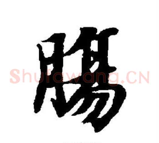 肠