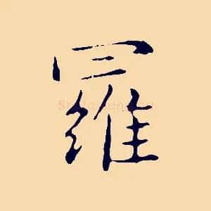 羅