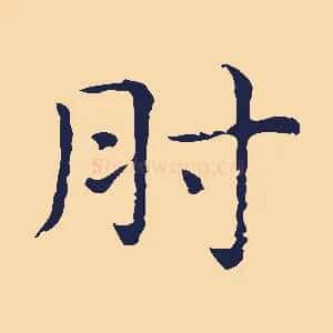 肘