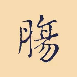 腸