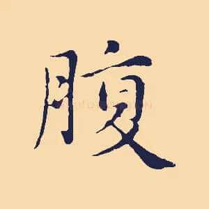 腹
