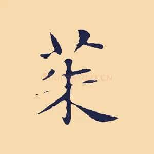 茱