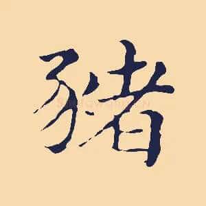 豬