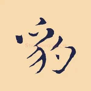 豹