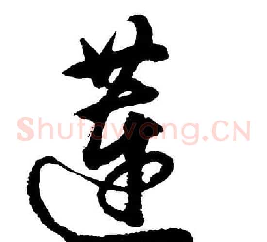 莲