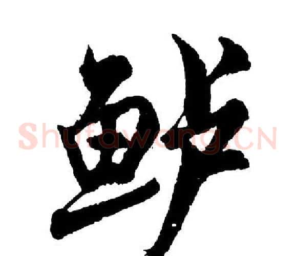 鲈