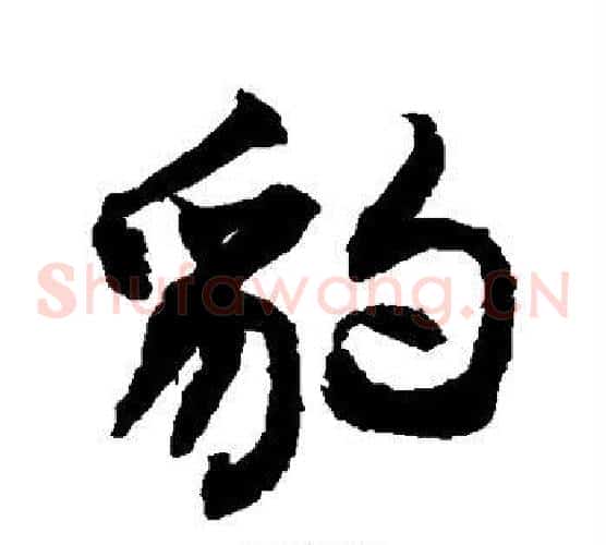 豹
