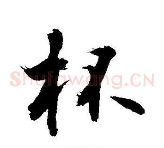 杯