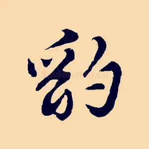 豹
